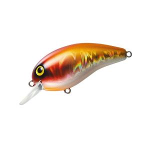 DAIWA（ダイワ） タイニーピーナッツ (爆買) : 釣具の通販 南紀屋