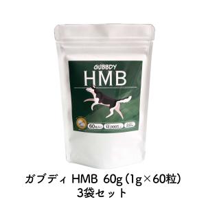 【3GBD05】ガブディ　HMB　60粒入り×3袋セット