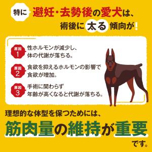 【3GBD05】ガブディ HMB 60粒入り×...の詳細画像4