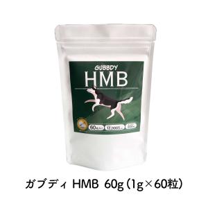 【GBD05】ガブディ　HMB　60粒入り