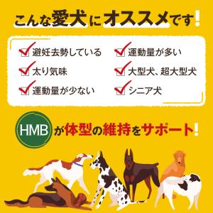 【GBD05】ガブディ HMB 60粒入りの詳細画像3