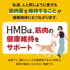【GBD05】ガブディ HMB 60粒入りの詳細画像5