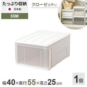 天馬 収納ケース たっぷり収納ケース 幅39×奥行66×高さ23cm ホワイト