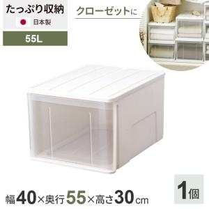 天馬 収納ケース たっぷり収納ケース 幅40×奥行55×高さ25cm ホワイト