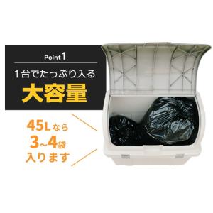 リッチェル ゴミ箱 屋外 大容量 屋外ストッカ...の詳細画像2