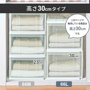 収納ケース たっぷり収納ケース 幅39×奥行6...の詳細画像2