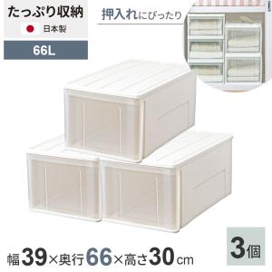 天馬 収納ケース たっぷり収納ケース 幅39×奥行66×高さ23cm ホワイト