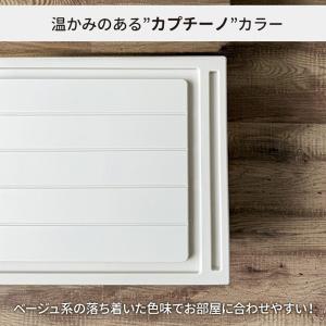 収納ケース ビュートケース 幅39×奥行74×...の詳細画像4