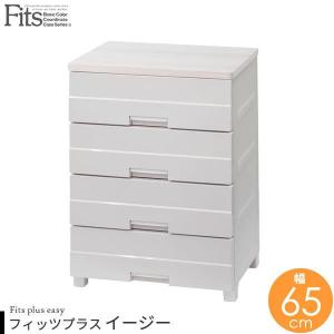 天馬 天馬フィッツプラスイージー FE5504 衣装ケース 収納ケース