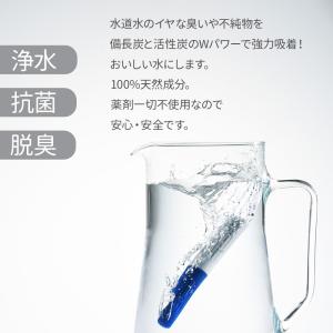 ペットボトル 浄水 水がうまい 2個セット |...の詳細画像2
