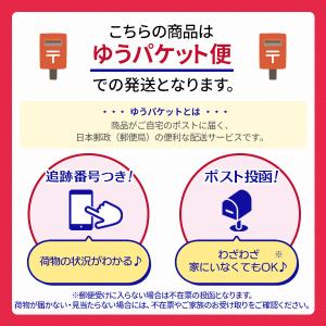 ペットボトル 浄水 水がうまい 2個セット |...の詳細画像4