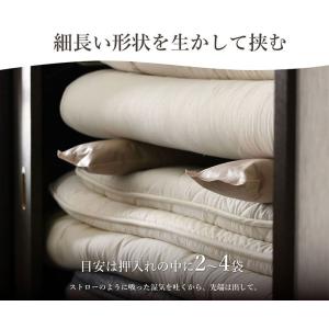 炭八 押入れ用 3L 4袋セット | すみはち...の詳細画像3