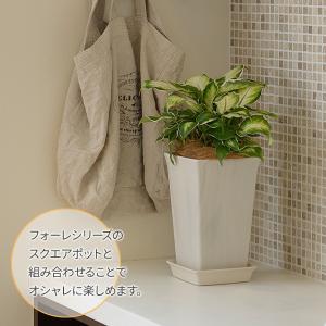 リッチェル 鉢 受け皿 フォーレ スクエアプレ...の詳細画像2