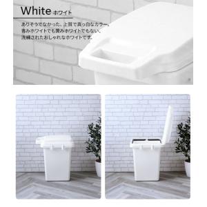 ゴミ箱 抗菌ペール 防臭 33JS 33L ホ...の詳細画像4