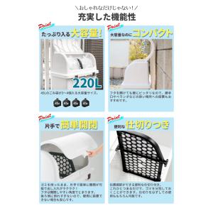 リッチェル ゴミ箱 屋外 大容量 トラッシュコ...の詳細画像4