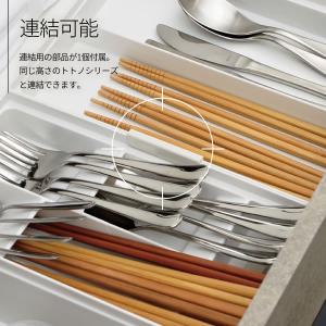 リッチェル キッチン収納 トトノ 引き出し用 ...の詳細画像4