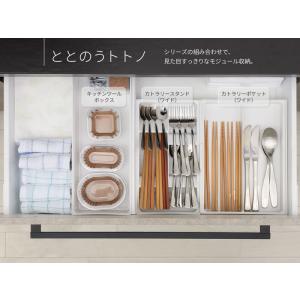 リッチェル キッチン収納 トトノ 引き出し用 ...の詳細画像5