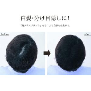 増毛スプレー ヘアフォロー 艶プラス 150g...の詳細画像2