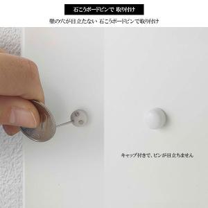 山崎実業 smart スマート マグネット ケ...の詳細画像5