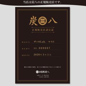 炭八 室内用 ワイド 横袋 8L | すみはち...の詳細画像5