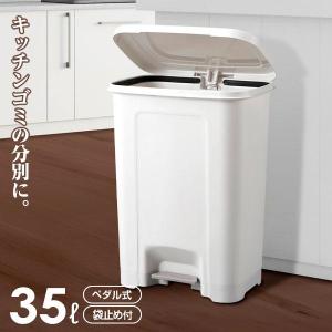 アスベル（ASVEL） ごみ箱 エバン ペダルペール 25L ホワイト