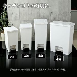 ゴミ箱 エバン ペダルペール 30L ホワイト...の詳細画像1