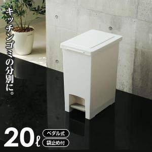 ゴミ箱 エバン ペダルペール 20L ホワイト ...の商品画像
