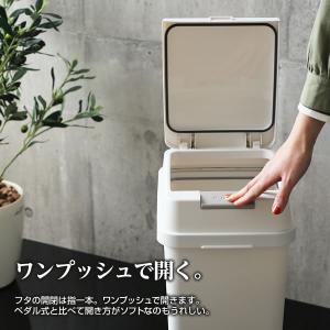 ゴミ箱 密閉 エバン 密封プッシュペール 20...の詳細画像3