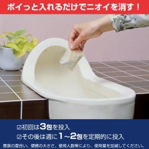 アズマ工業 汲み取りトイレバイオ消臭 30包入...の詳細画像1