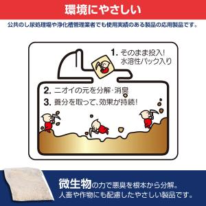 アズマ工業 汲み取りトイレバイオ消臭 30包入...の詳細画像2