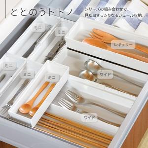 リッチェル キッチン収納 トトノ(totono...の詳細画像5
