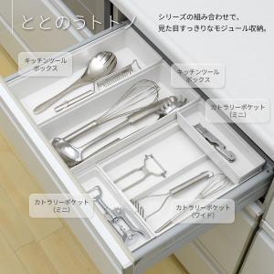 リッチェル キッチン収納 トトノ(totono...の詳細画像4
