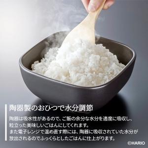HARIO ハリオ ご飯釜のおひつ (2合用)...の詳細画像2