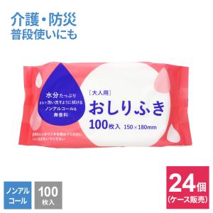 Lifeーdo.Plus 大人用 おしりふき 70枚入30個セット（ケース販売） LD