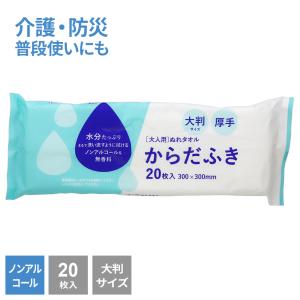 大人用 からだふき 大判 (20枚入) | 大人...の商品画像