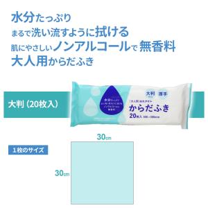 大人用 からだふき 大判 (20枚入) | 大...の詳細画像1