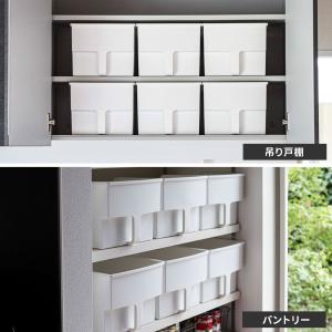 キッチン収納 吊り戸棚ボックス ワイド浅型 ホ...の詳細画像3