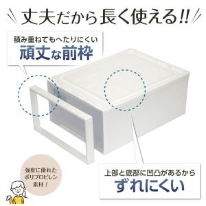 収納ケース Fits フィッツケース 45-4...の詳細画像5