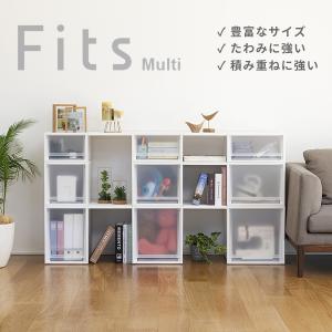 収納ケース Fits フィッツケースマルチ 6...の詳細画像1