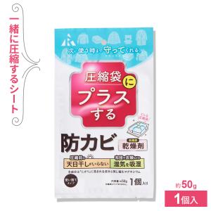 圧縮袋にプラスする 防カビ乾燥剤 1個入 AM-1001 ｜ 圧縮袋用 防カビ 収納 保存 季節物 カビ予防 吸湿 乾燥 圧縮袋にプラス 使い捨て