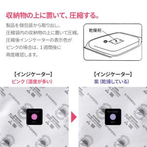 圧縮袋にプラスする 防カビ乾燥剤 1個入 AM...の詳細画像2