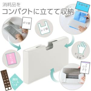 リッチェル トトノ 引き出し用 ポリ袋収納ケー...の詳細画像5