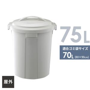 ゴミ箱 ベルクペール フタ付き セット 75L ...の商品画像
