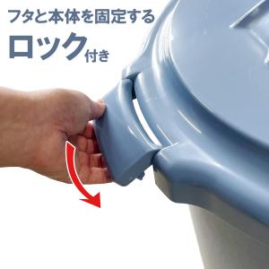 ゴミ箱 ベルクペール フタ付き セット 75L...の詳細画像2