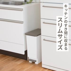 ゴミ箱 日本製 分別 スリムペダル ネオカラー...の詳細画像4