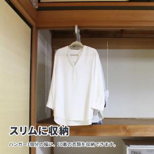 押し入れ用フック セキスイ 押入れポール(ネジ...の詳細画像4
