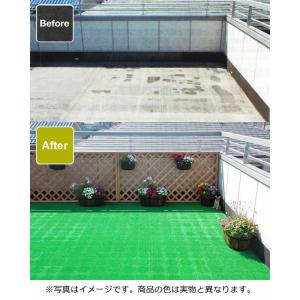 人工芝 コンドル 若草ユニット 30×30cm...の詳細画像2