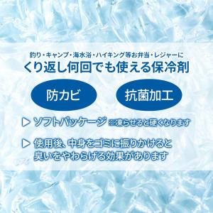 保冷剤 M 300g IC-02 | アイスク...の詳細画像1