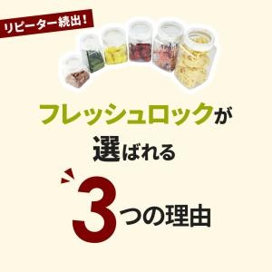 フレッシュロック 角型 1.4L 白/緑/茶/...の詳細画像3