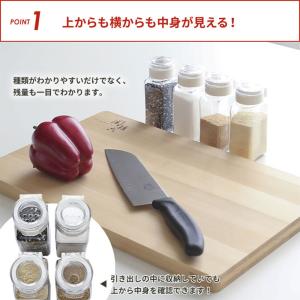 フレッシュロック スパイスボトル 1ホール 1...の詳細画像2